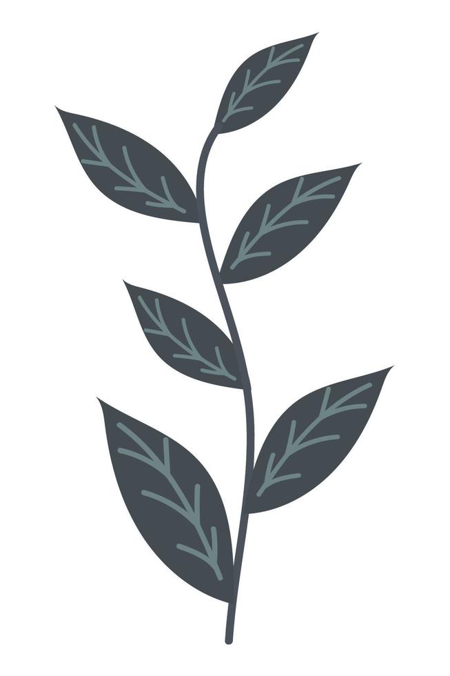 leaves foliage icon vector
