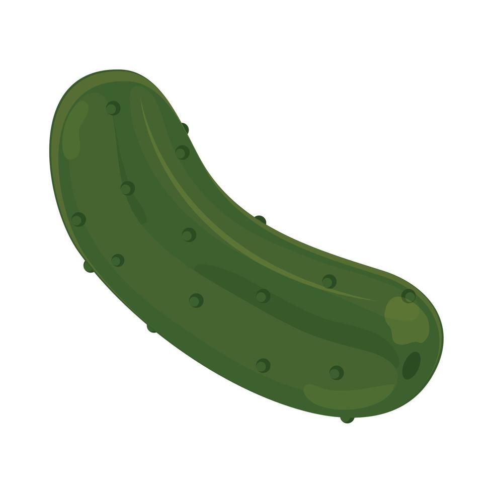 cucumber vegetable icon vector