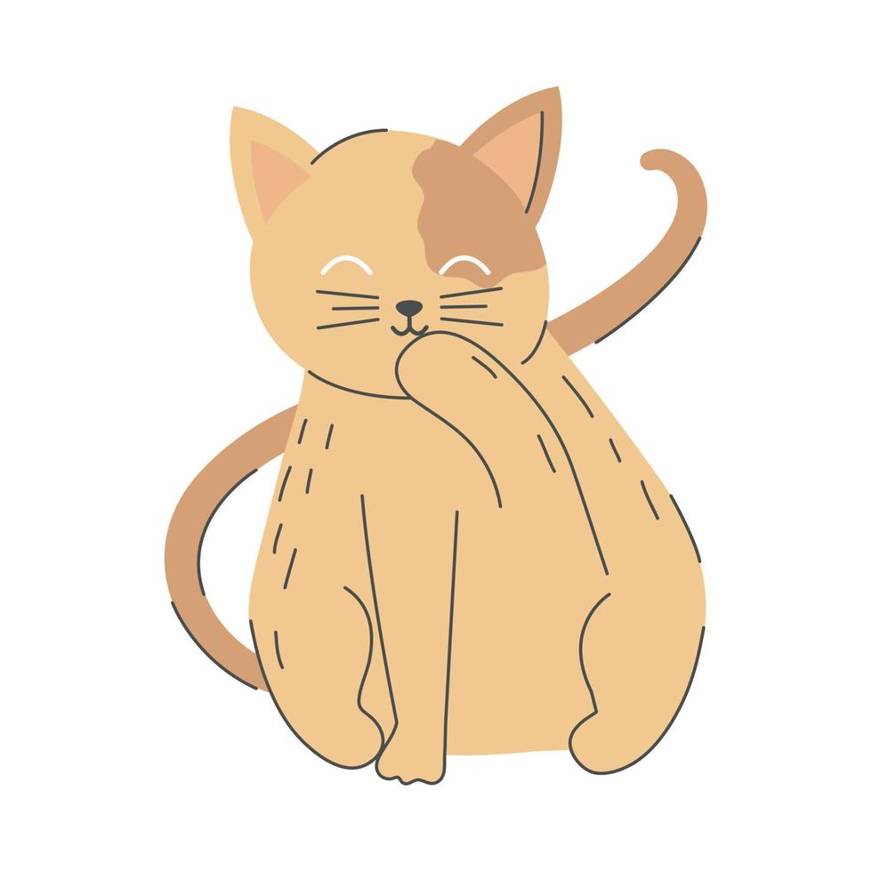 cat isolated icon vector