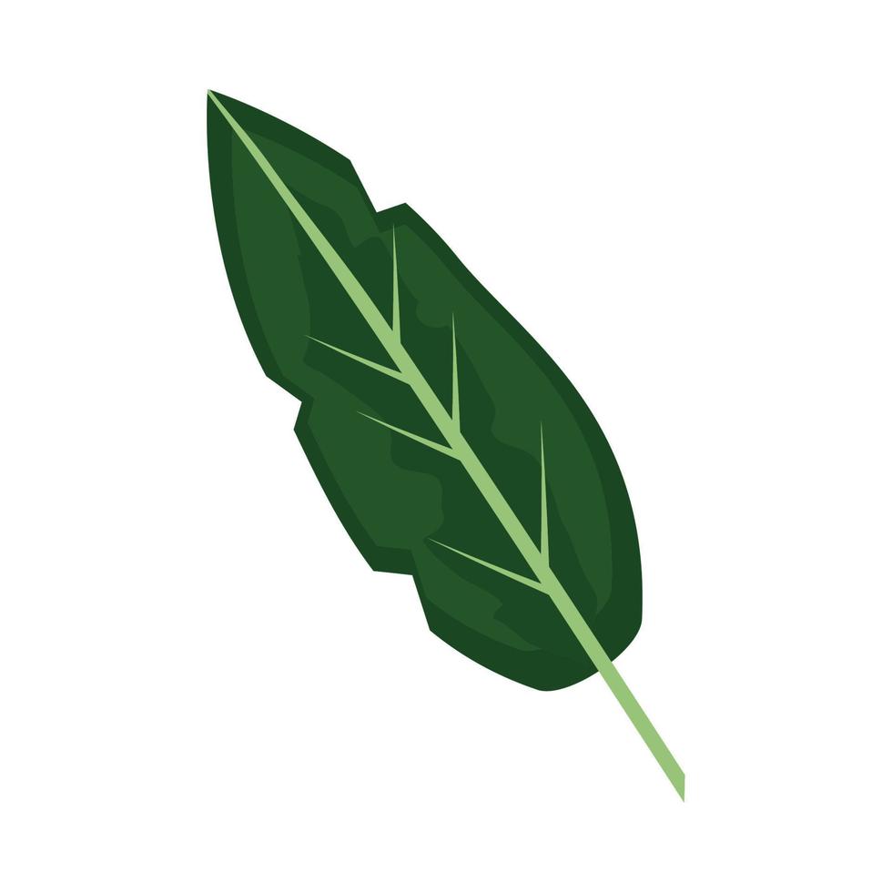 tropical natural leaf vector