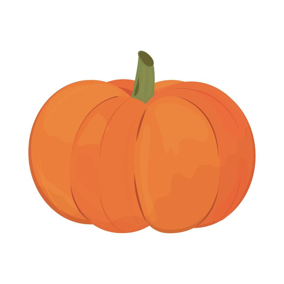 icono de vegetales de calabaza vector