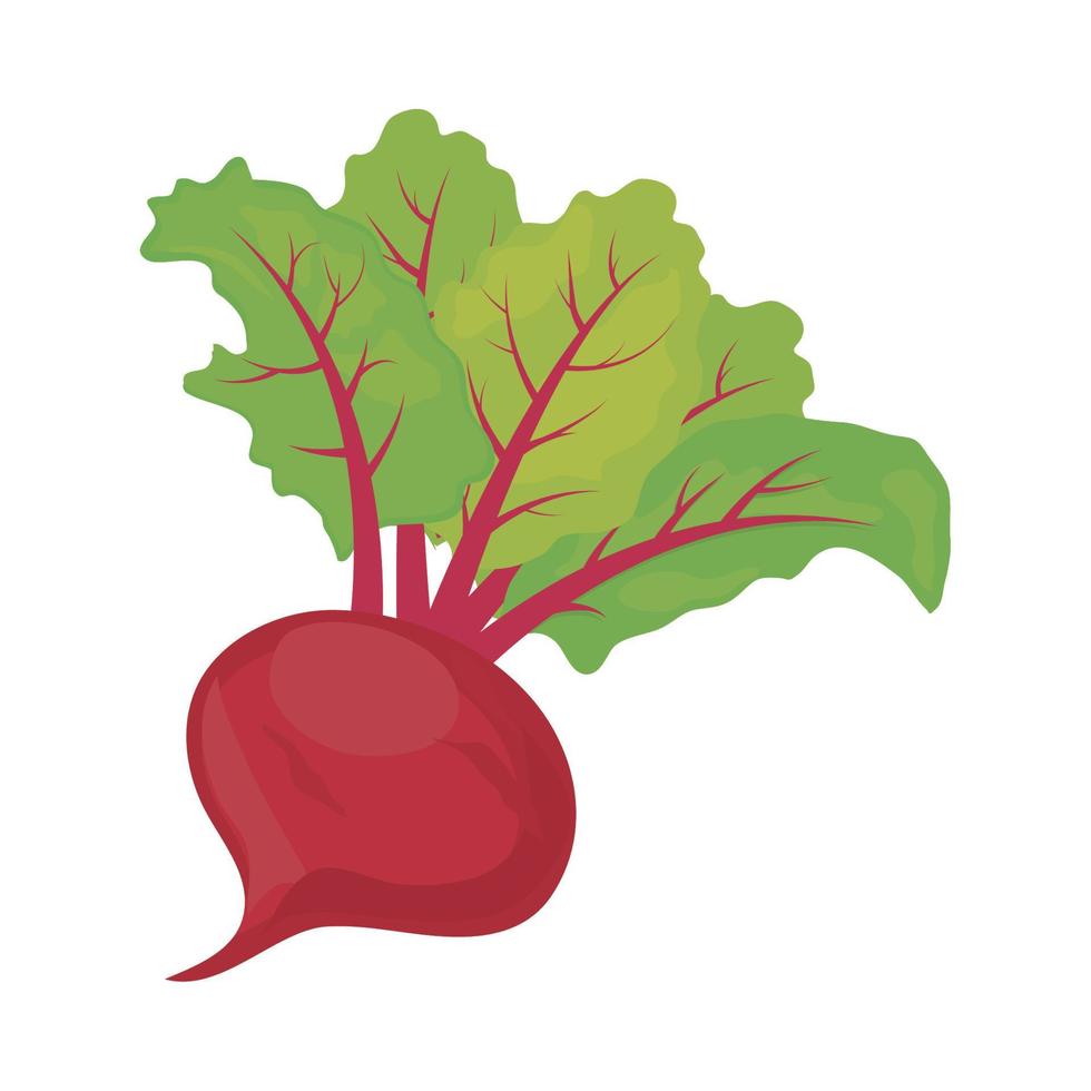 icono de vegetales de rábano vector