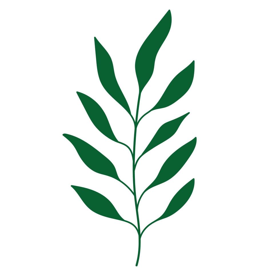 leaves foliage nature vector