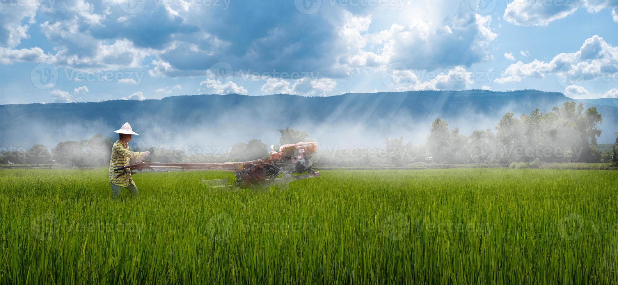 mujer agricultora que usa el tractor para caminar para arar la planta de arroz en la lluvia en la hermosa puesta de sol en el fondo, el campo rural de tailandia foto