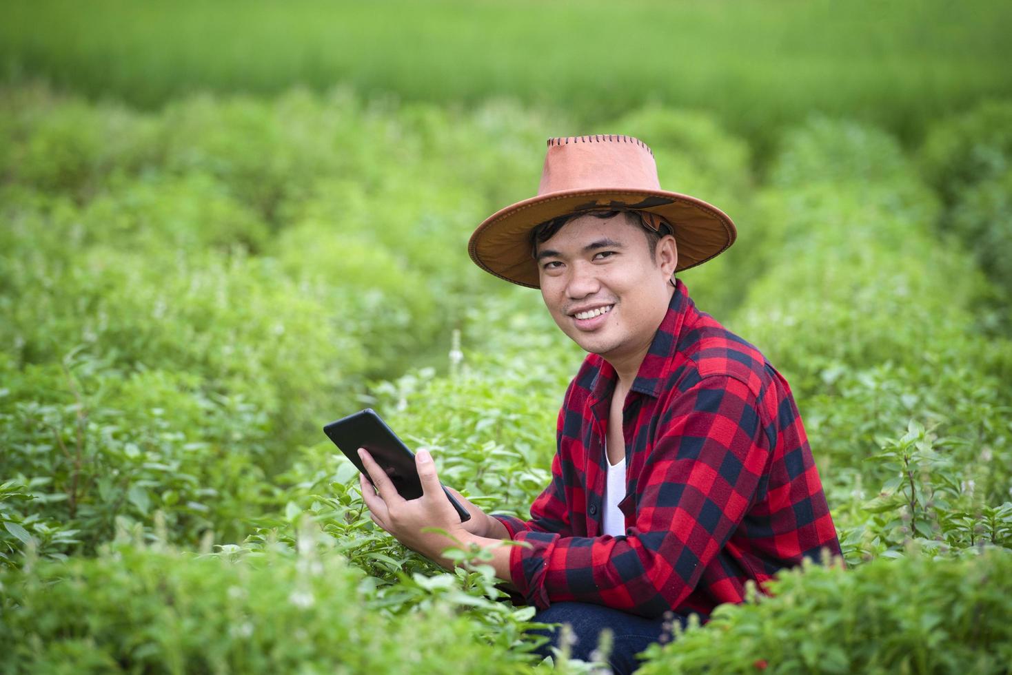 A farmer in a ripe wheat field plans a harvest activity, a male agronomist is happy in a rice field. photo