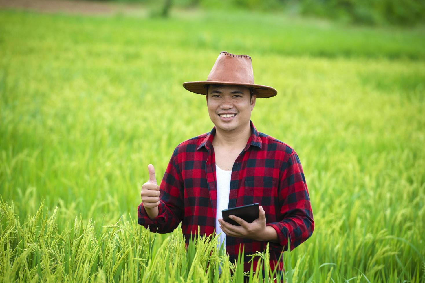 un agricultor en un campo de trigo maduro planea una actividad de cosecha, un agrónomo masculino es feliz en un campo de arroz. foto
