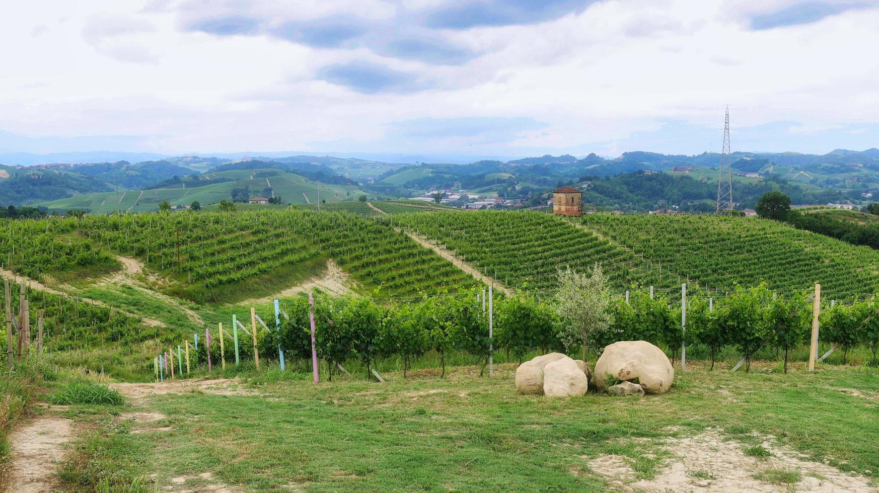 landscapes of vineyards in monta d'alba, in the Piedmontese Langhe during a mangialonga in June 2022 photo