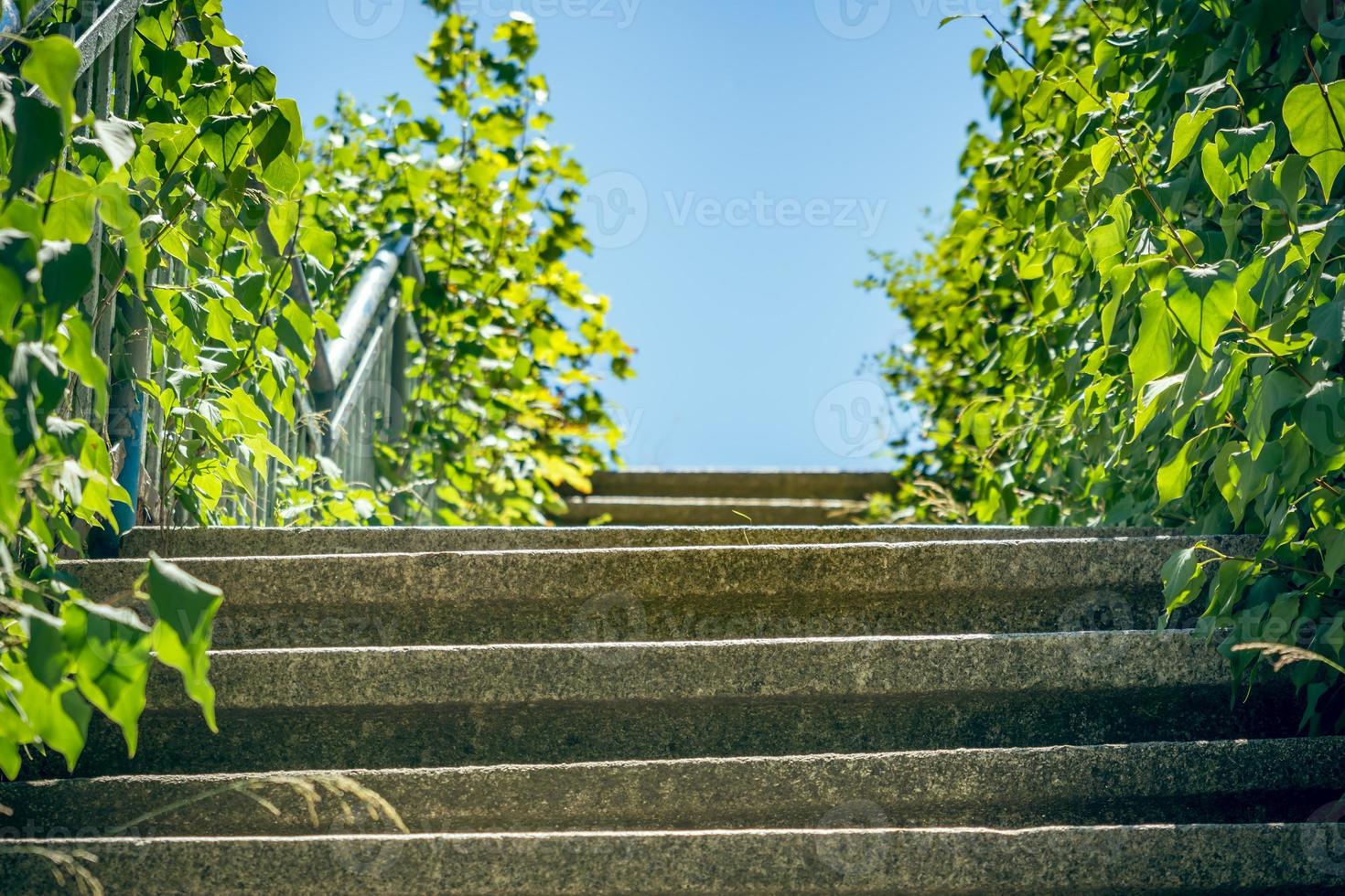 Stone staircase in nature photo