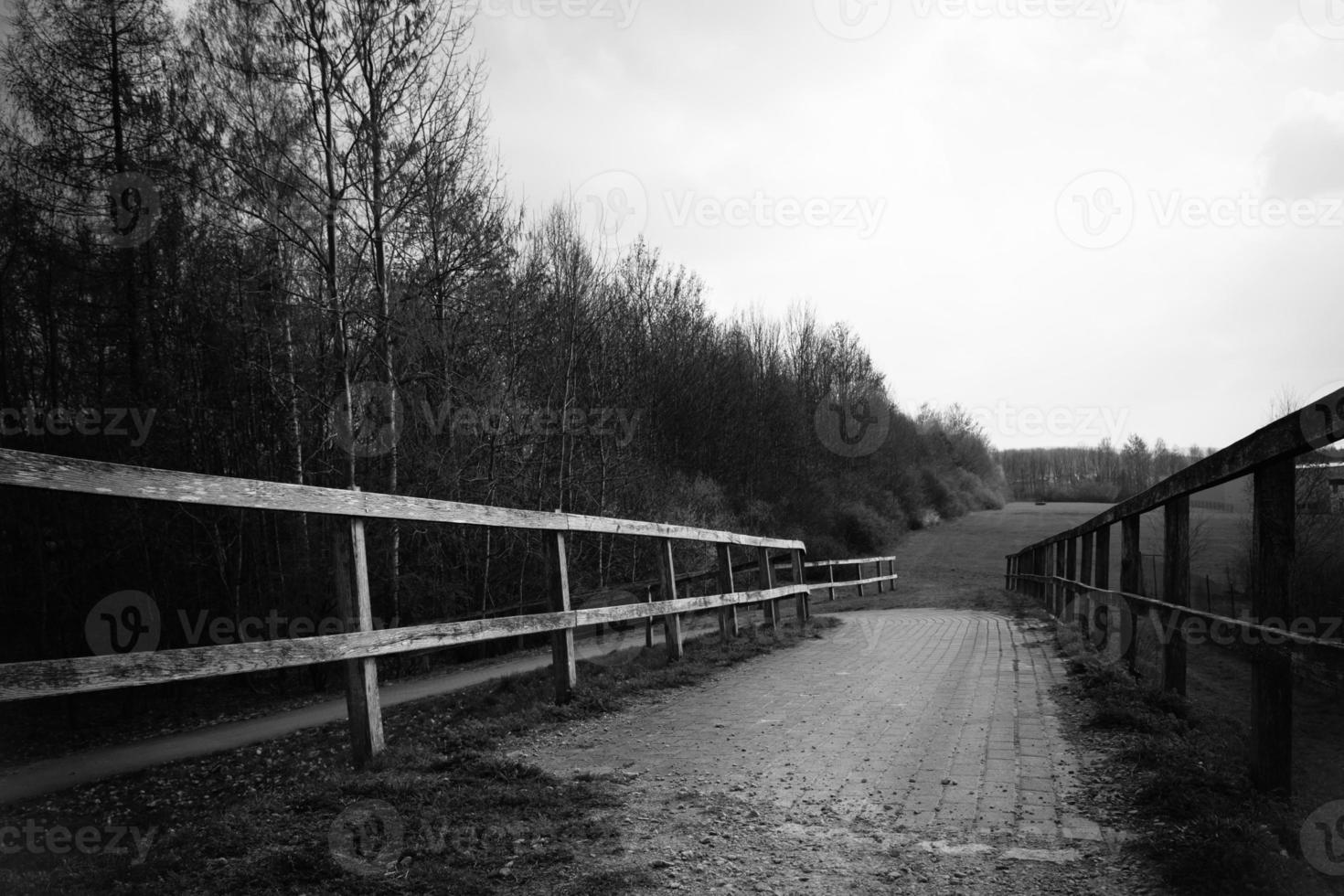 walkway in nature in black and white photo