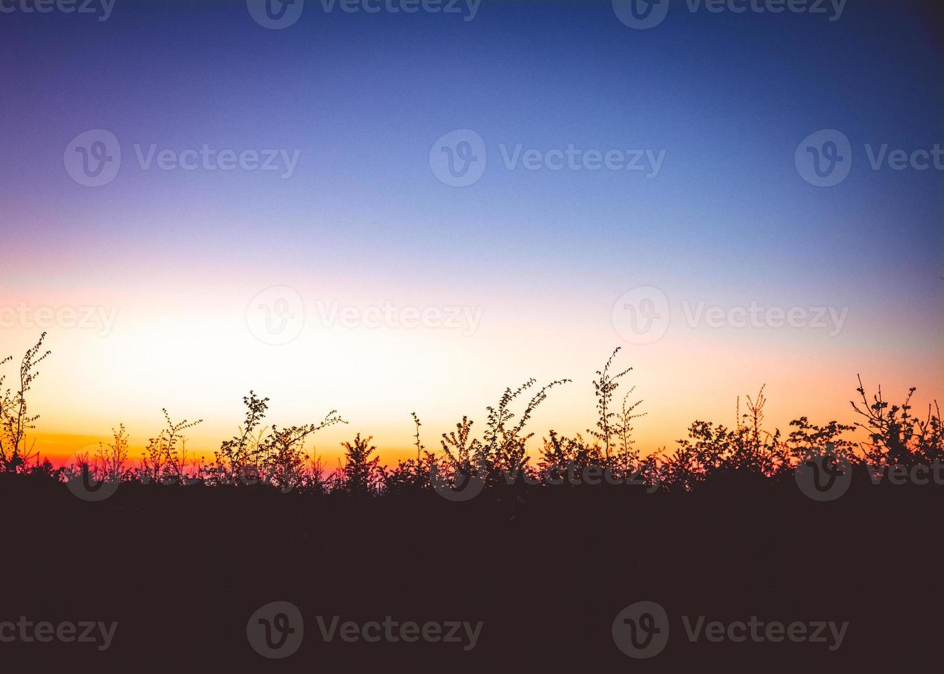 afterglow over a field photo