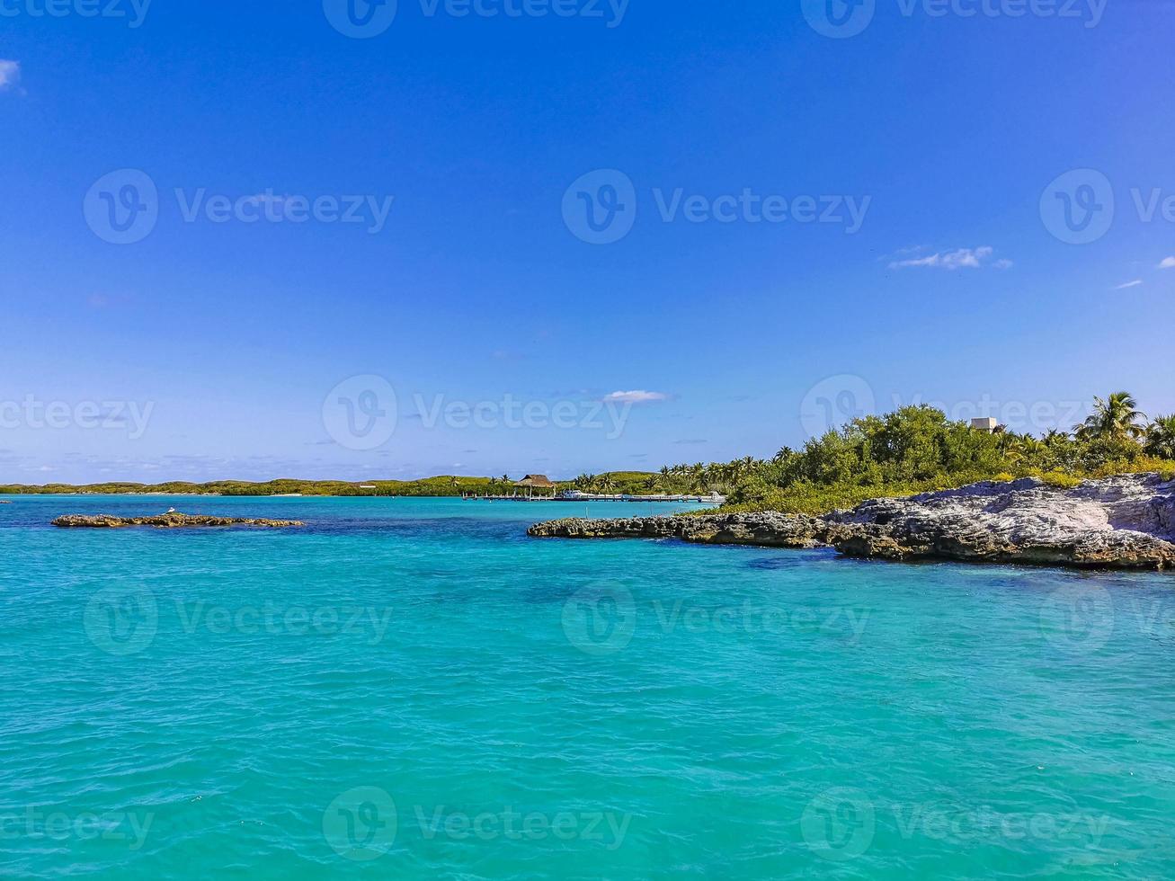 Beautiful tropical natural beach and forest panorama Contoy island Mexico. photo