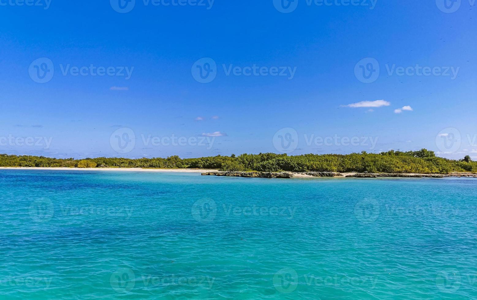 Beautiful tropical natural beach and forest panorama Contoy island Mexico. photo