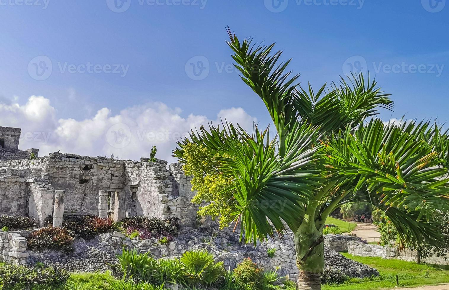 Ancient Tulum ruins Mayan site temple pyramids artifacts seascape Mexico. photo