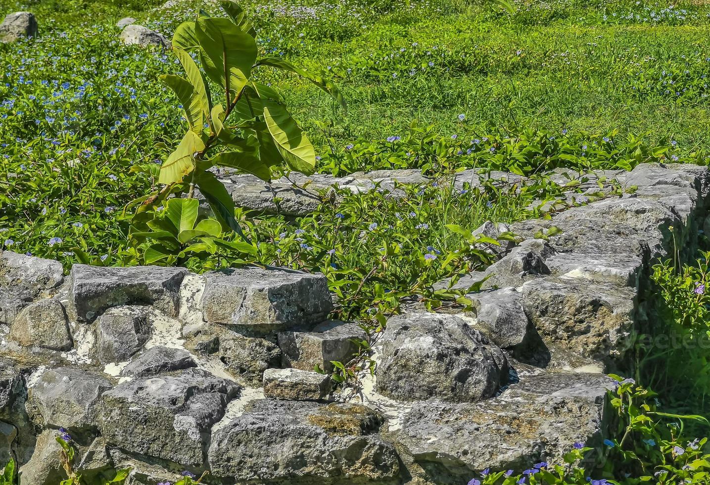 Ancient Tulum ruins Mayan site temple pyramids artifacts seascape Mexico. photo