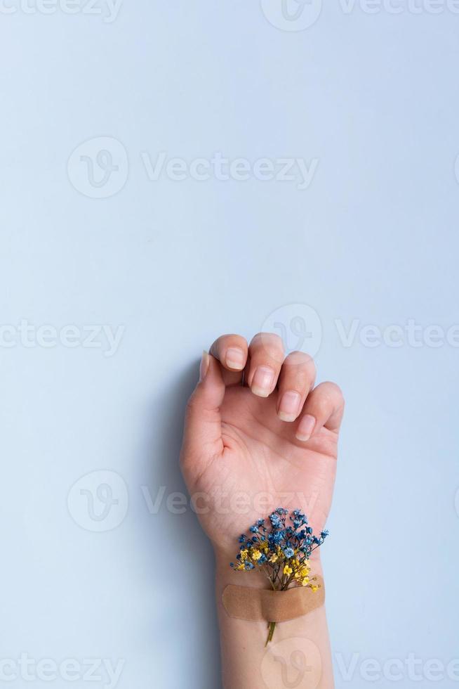 Blue and yellow flower under the patch on a female hand on a blue background. Love and pray to Ukraine concept photo