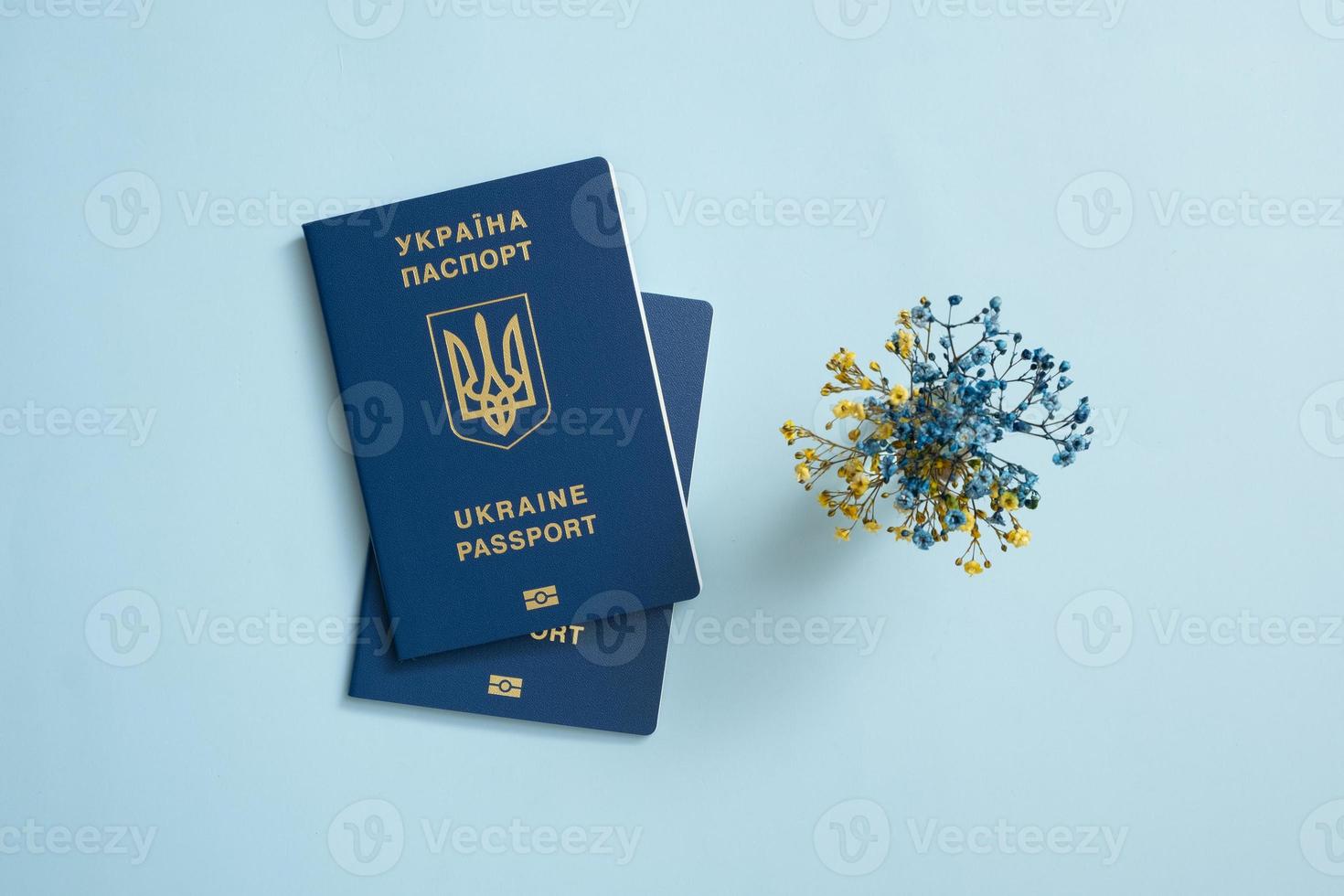 Passports of a citizen of Ukraine and yellow-blue flowers on blue background. Inscription in Ukrainian Ukraine Passport photo