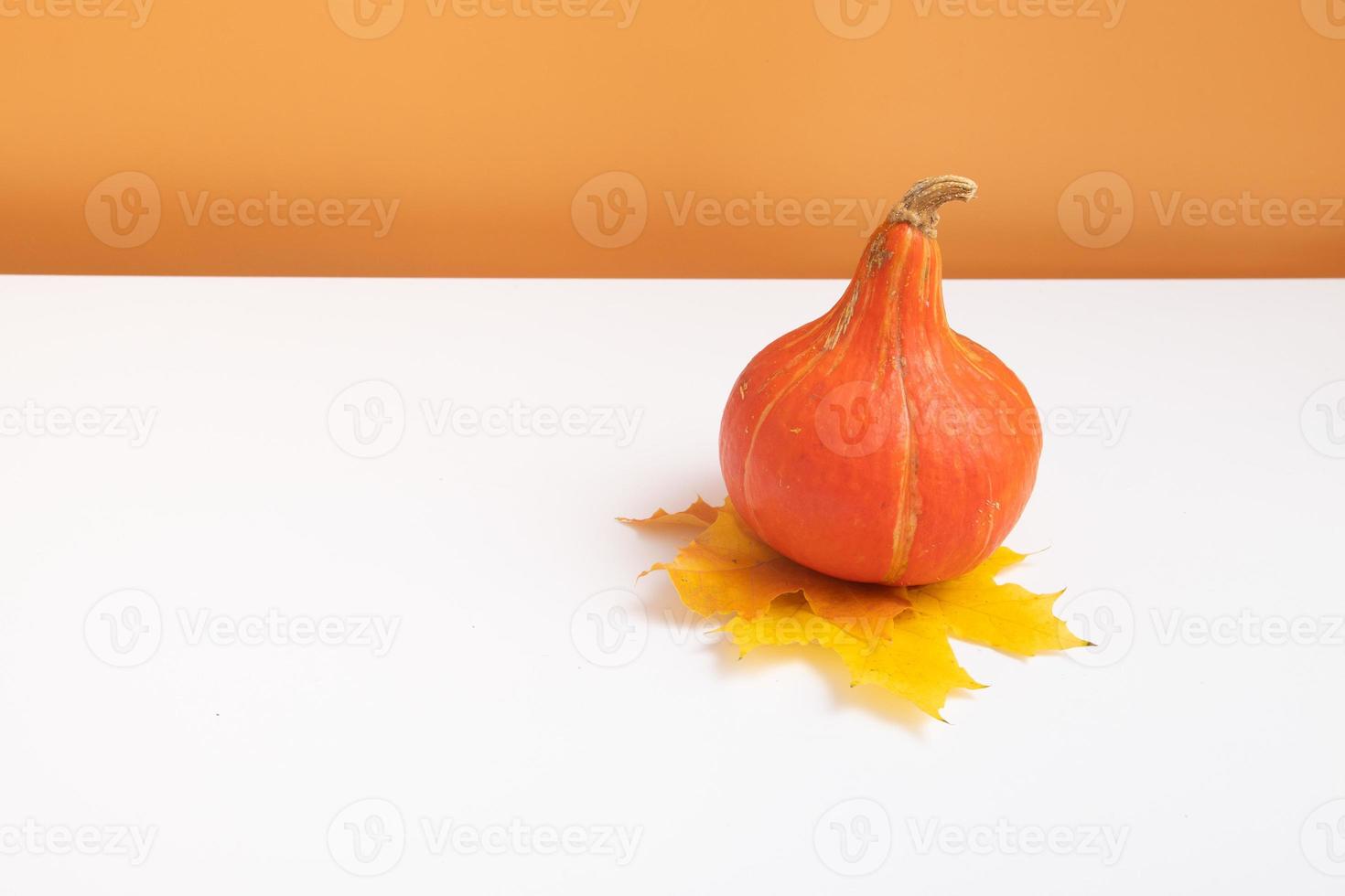 Autumn composition. Pumpkin on fall muple leave on white orange background. Autumn fall and thanksgiving day concept. Minimalistic still life photo