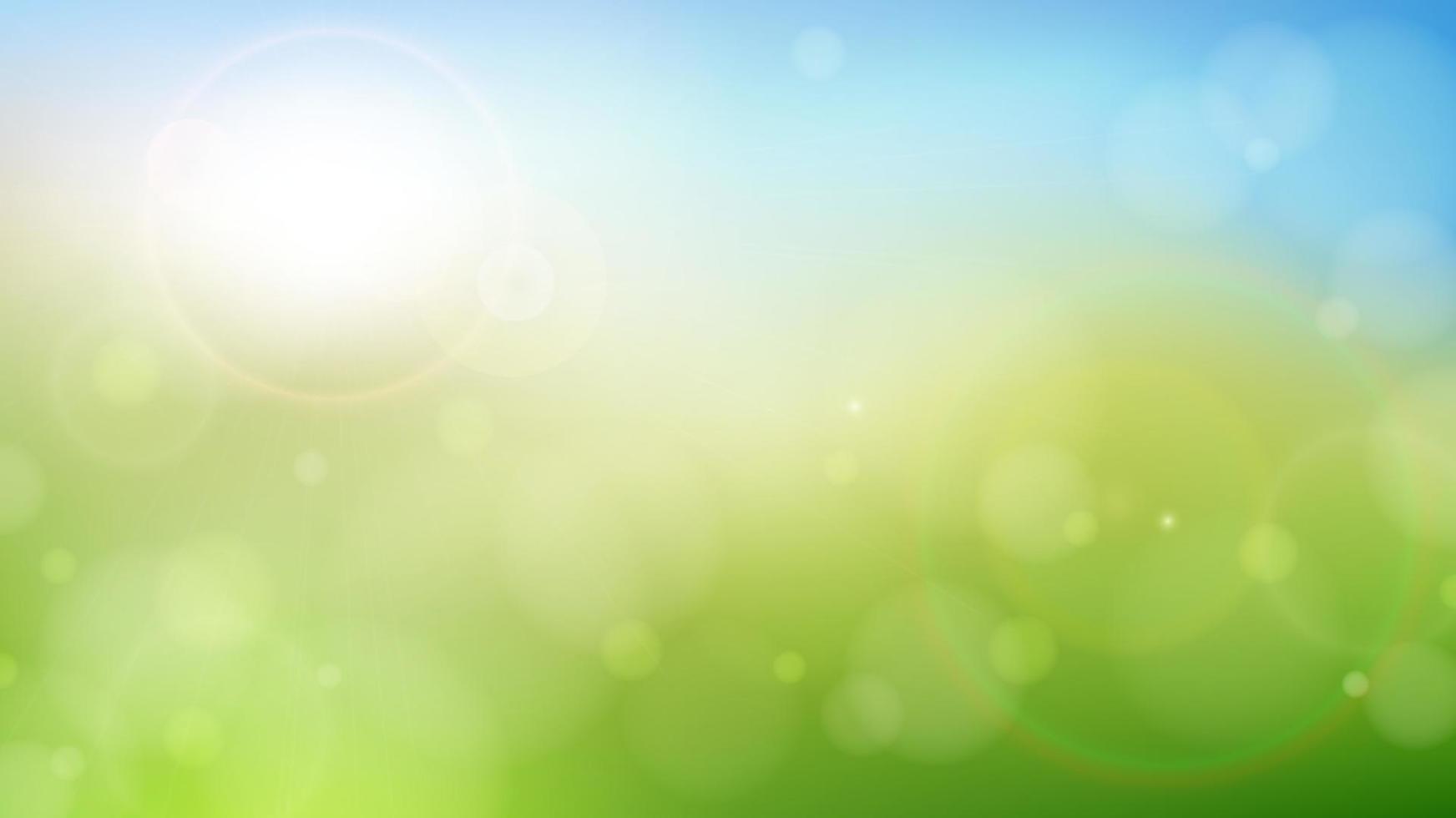 Morning spring summer green nature blurred bokeh background vector