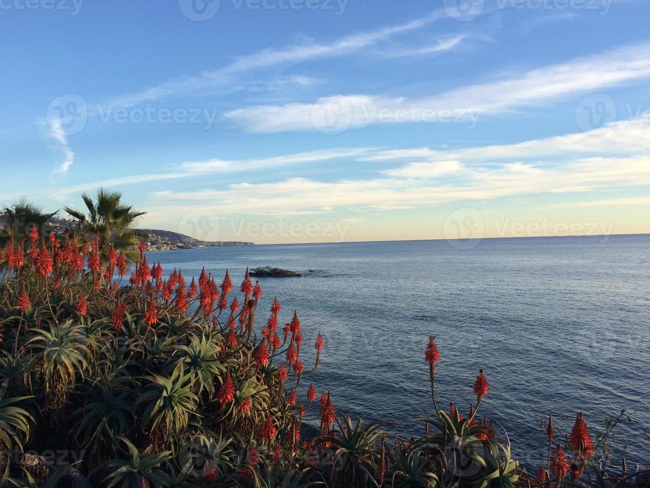 ocean view  in the evening photo