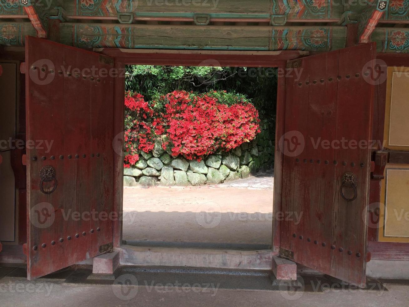 view in Korea photo