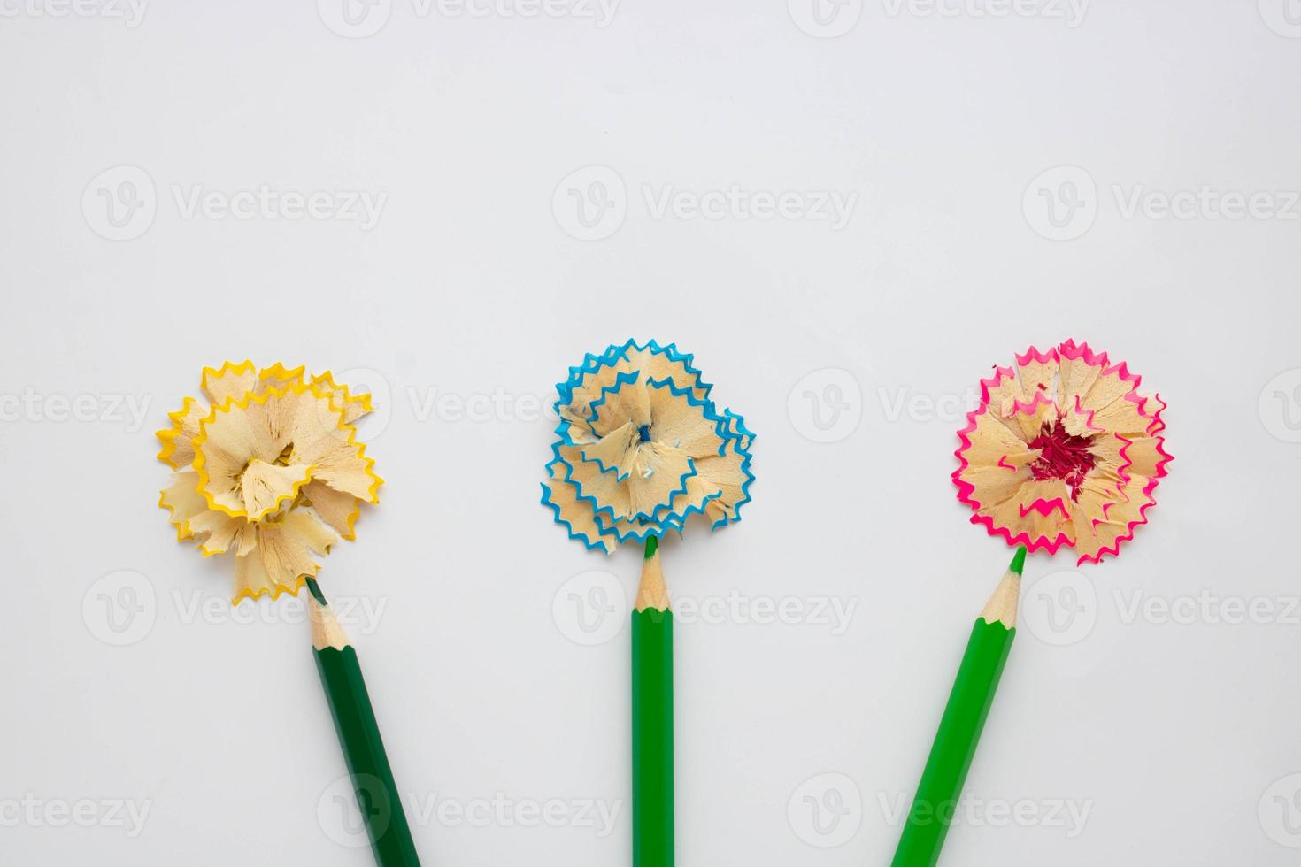 Colored wooden pencils, shavings lined with flowers, isolated on a white background. Old wooden pencils with garbage, shavings. photo