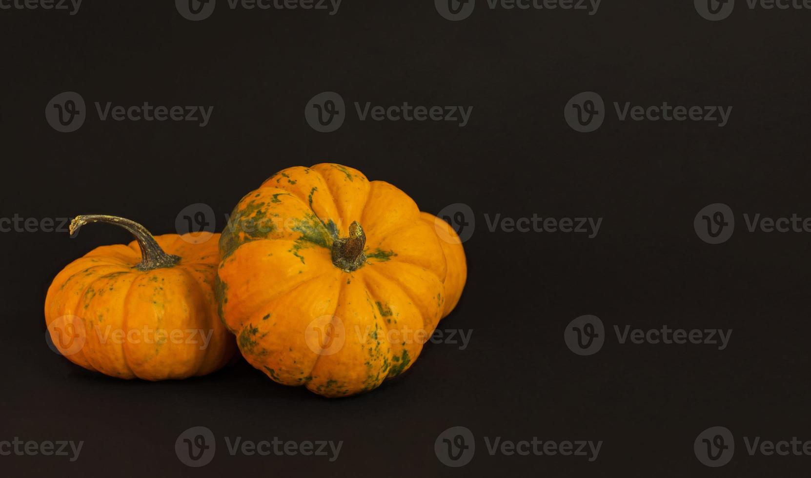 Pumpkins on a black background. Background with copy space. photo