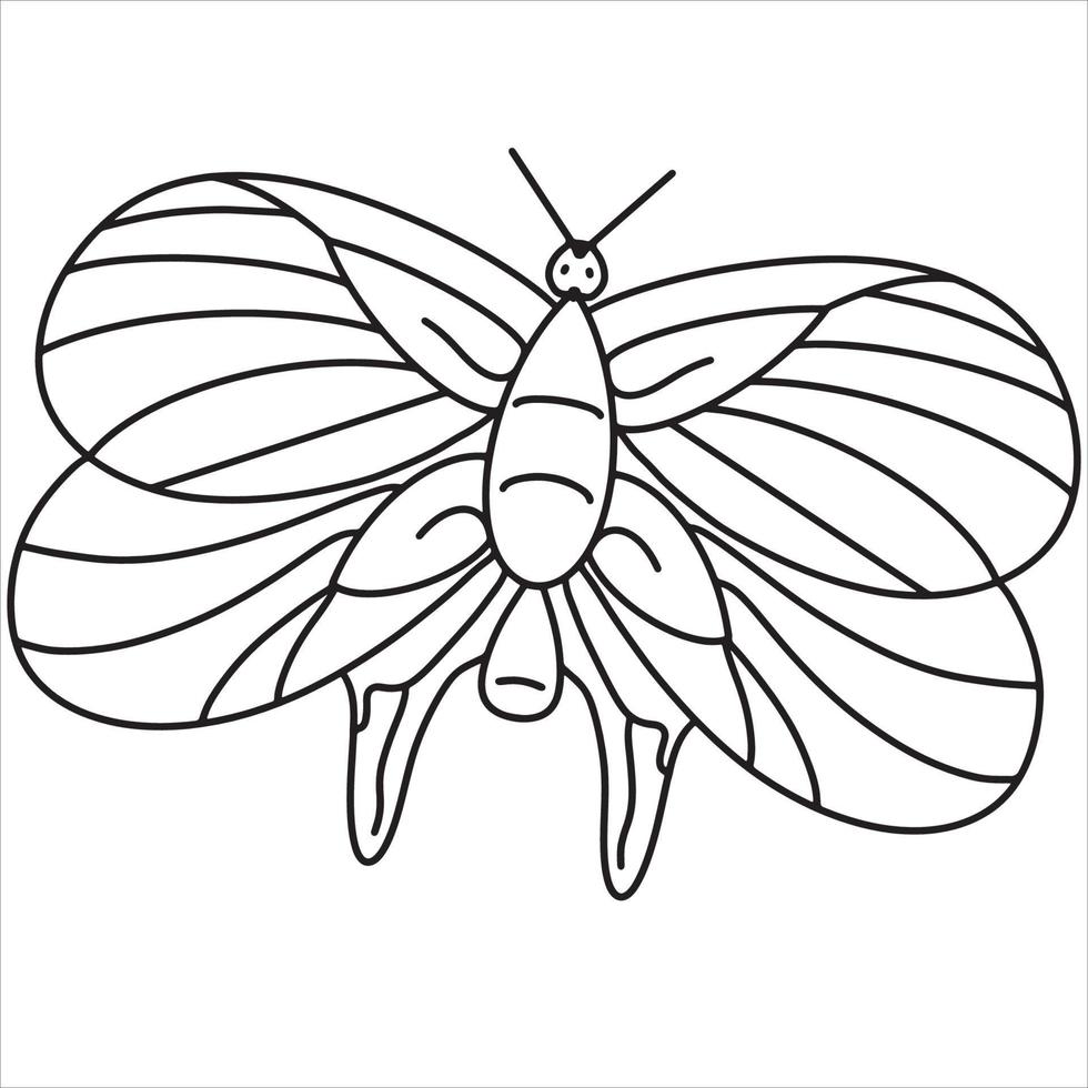 garabato de dibujo a mano de contorno de mariposa vector