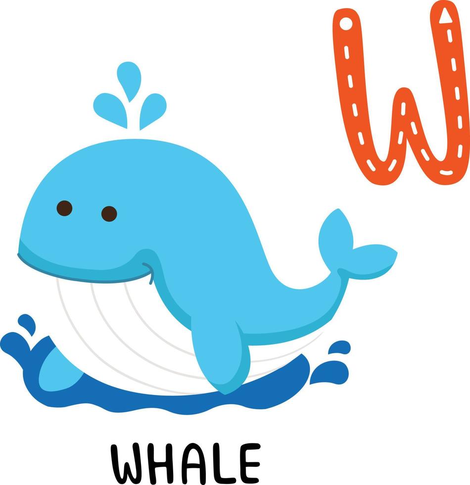 ilustración animal aislado alfabeto letra w-ballena vector