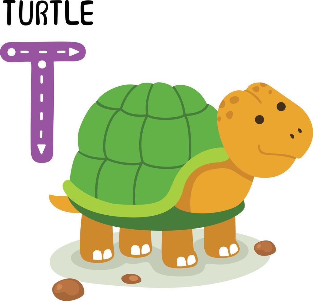 Ilustración animal aislado alfabeto letra t-tortuga vector