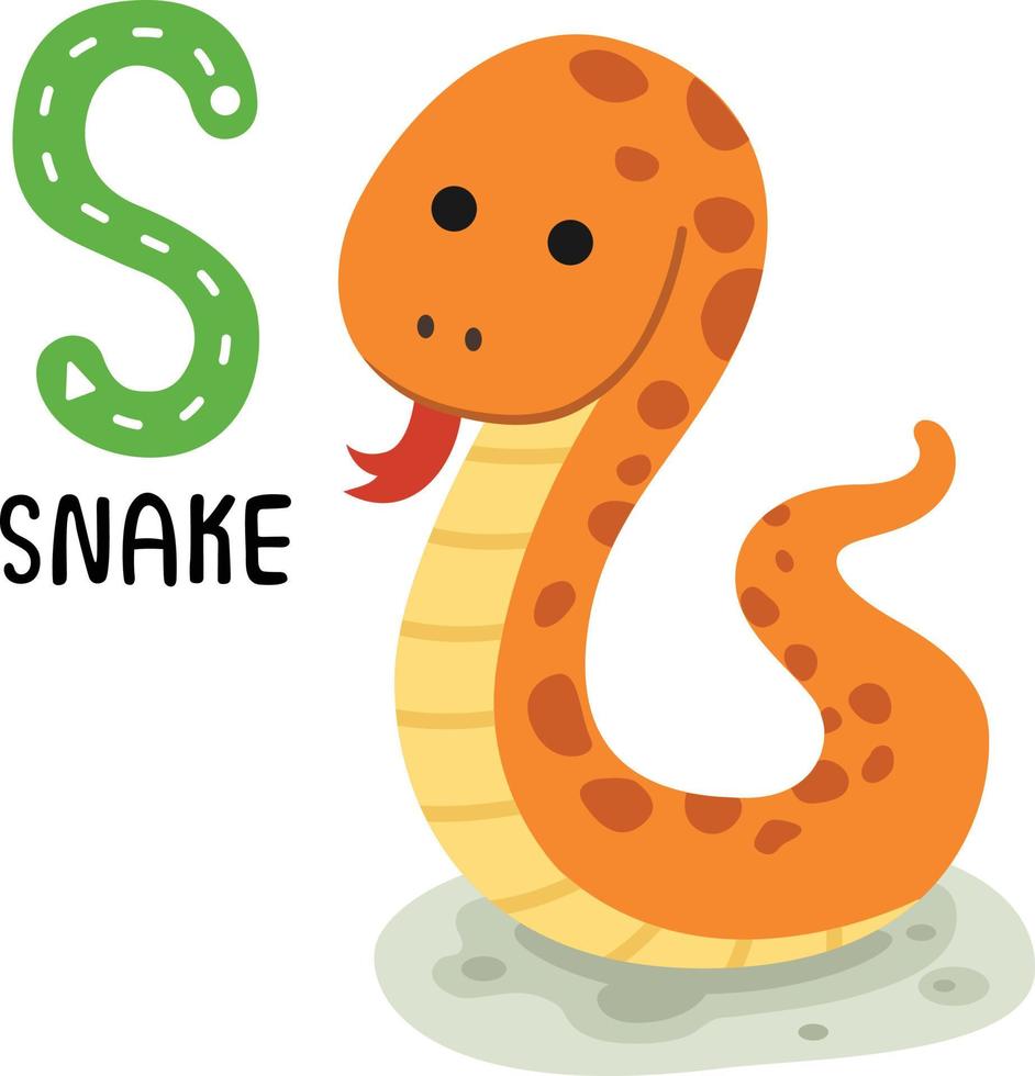 Illustration Isolated Animal Alphabet Letter S-Snake 10511951 Vector Art at Vecteezy Illustration Isolated Animal Alphabet Letter S-Snake 10511951 Vector Art at Vecteezy
