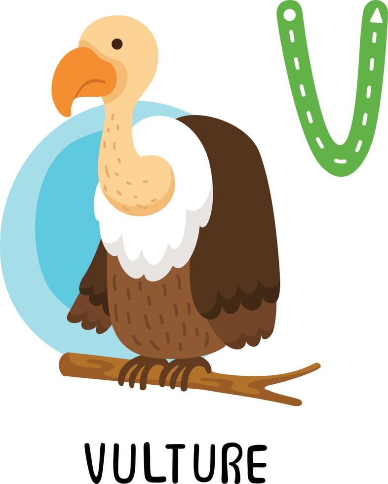Illustration Isolated Animal Alphabet Letter V-Vulture 10511956 Vector