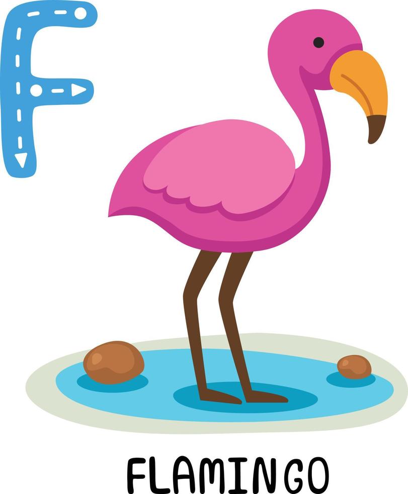 Illustration Isolated Animal Alphabet Letter F-Flamingo vector