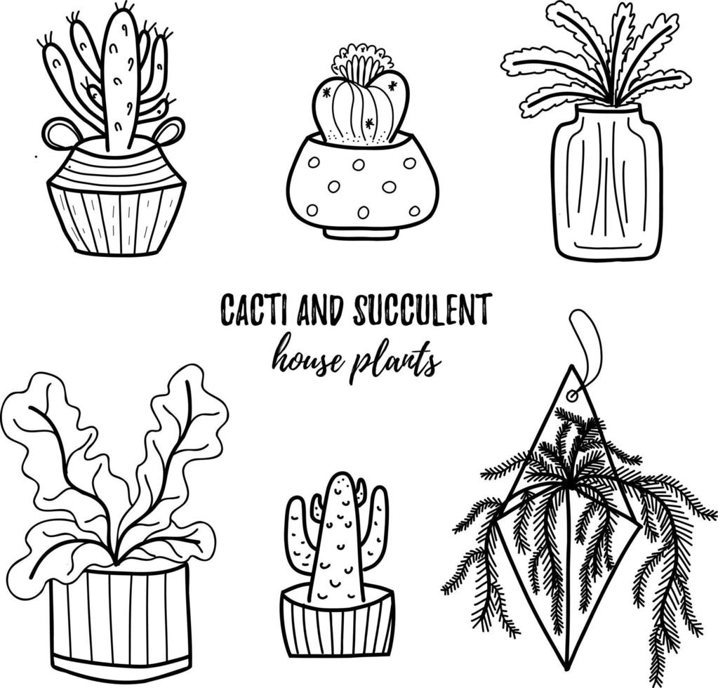 Vector doodle cactus and succulent collection of illustration. Black line art house plants in a pots set. Great for different kind of designs and backgrounds