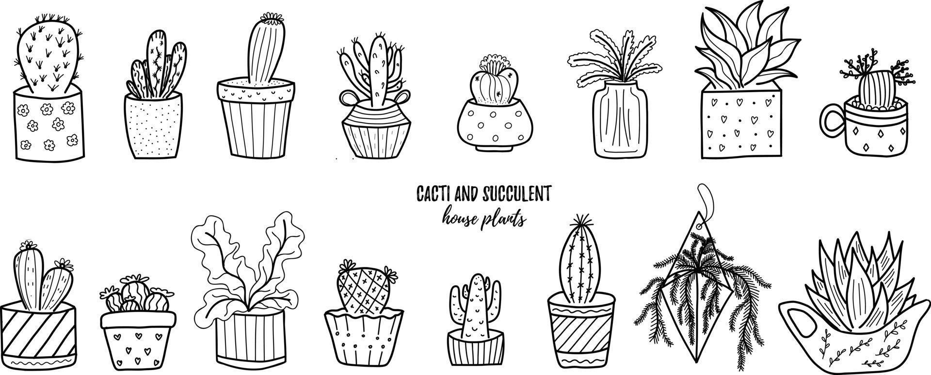 Vector doodle cactus and succulent collection of illustration. Black line art house plants in a pots set. Great for different kind of designs and backgrounds