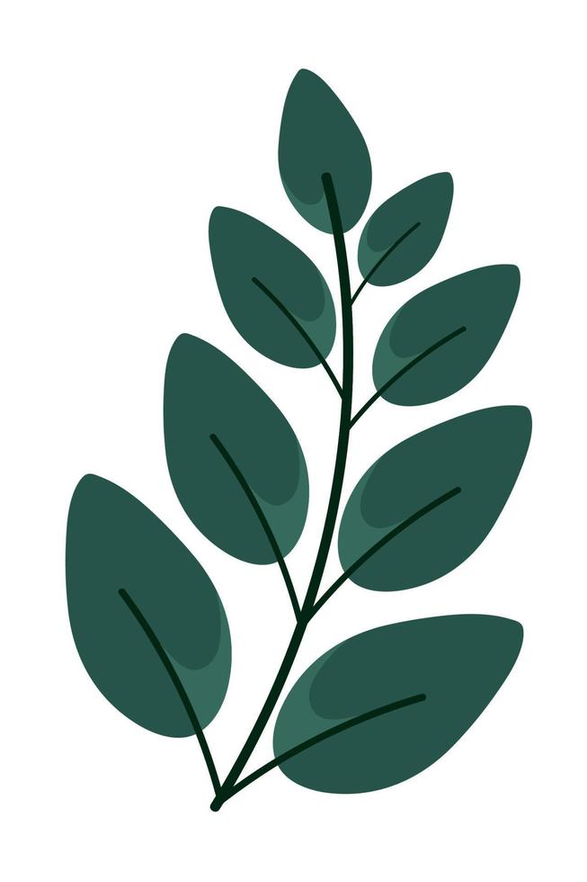 branch leaves natural vector