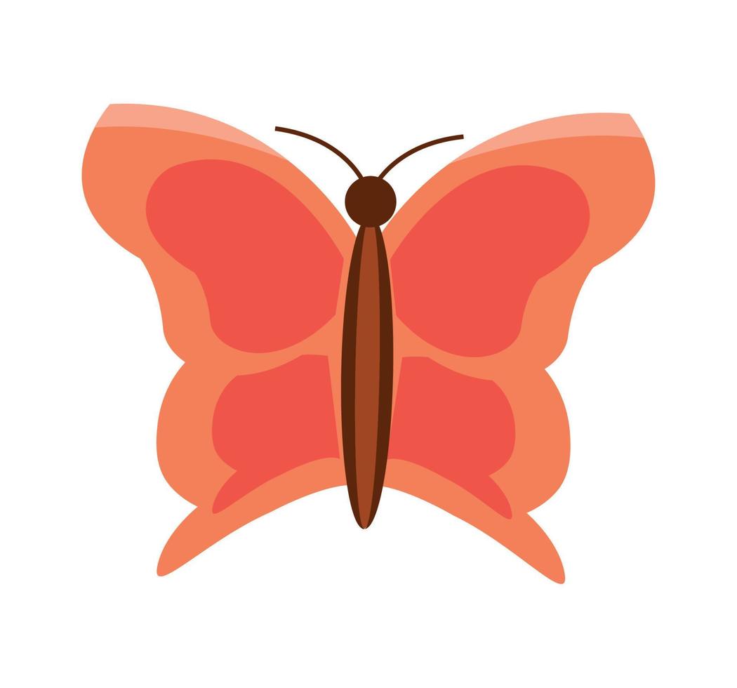 butterfly insect cartoon vector