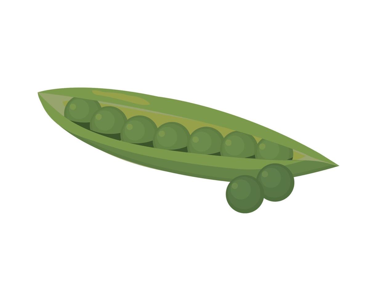 peas vegetable icon vector