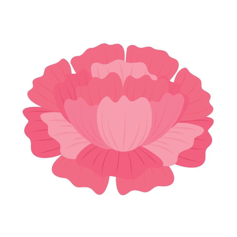 pink flower nature vector