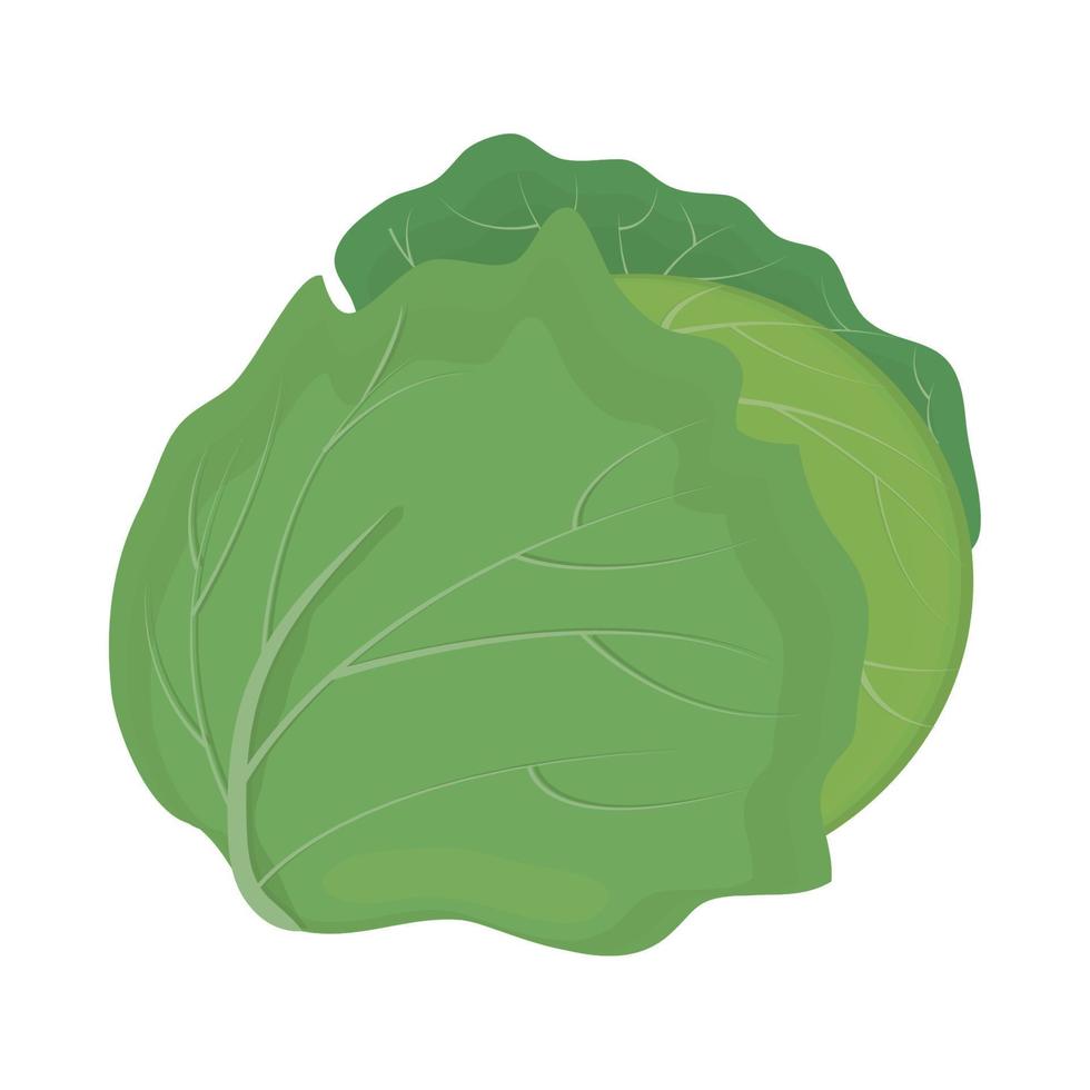 icono de vegetales de lechuga vector