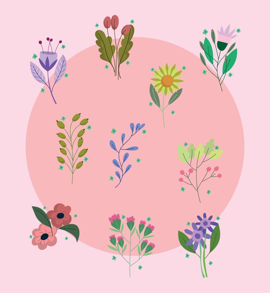 flowers and plants vector