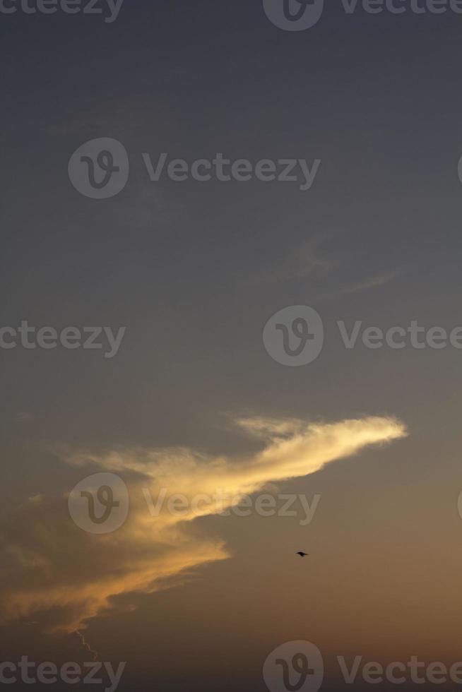 Different shapes of animal-like clouds and multicolored clouds were floating in the air as the atmosphere on the evening before sunset was different for each day. photo