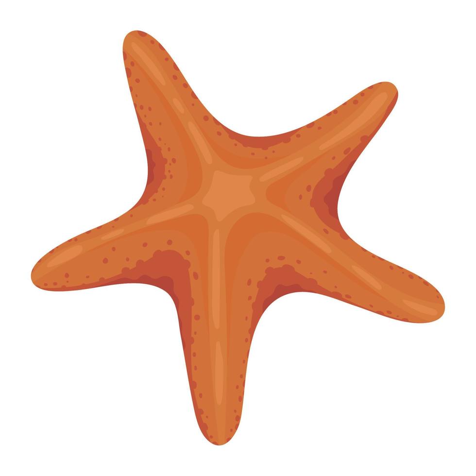 starfish icon flat vector
