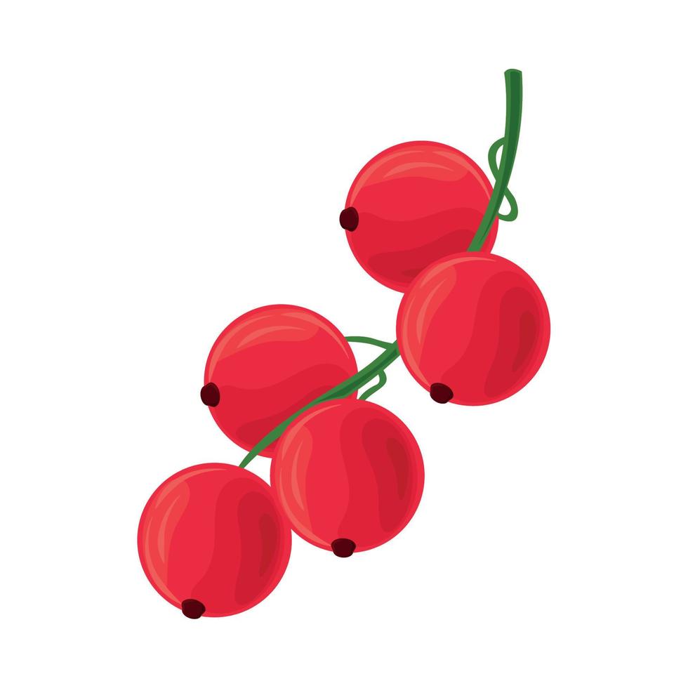 branch plum fruit icon vector