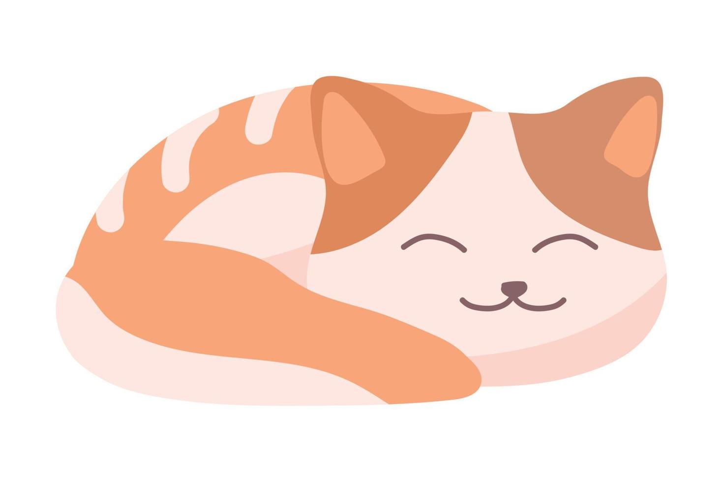 cute sleep cat 10513181 Vector Art at Vecteezy