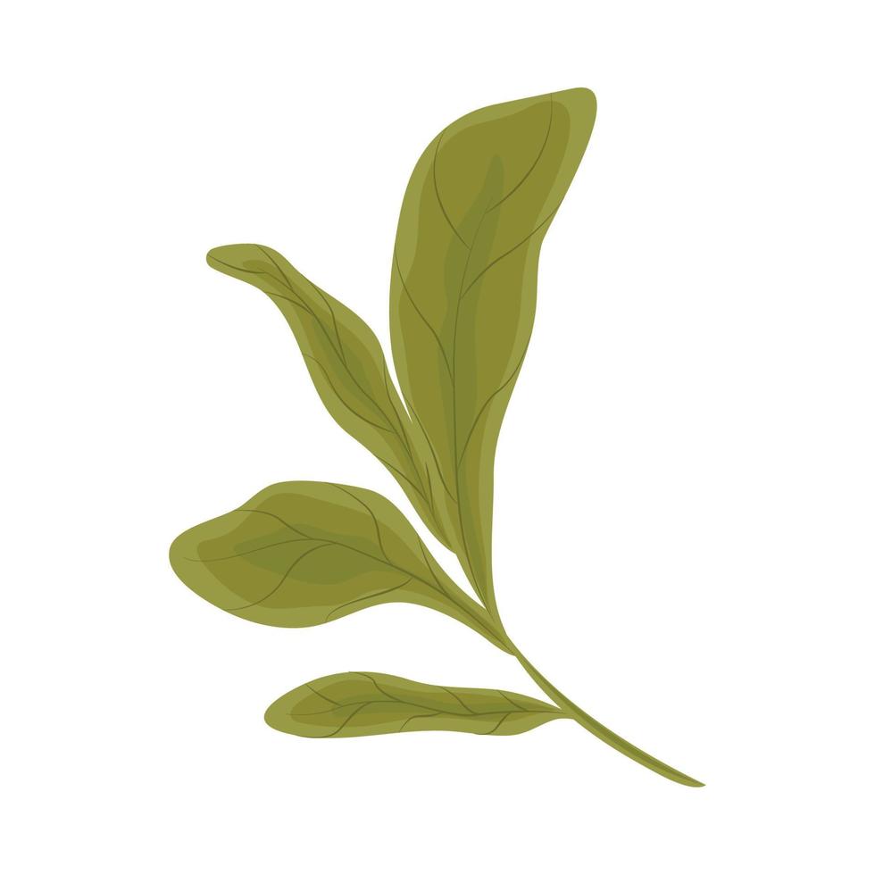 leaves nature icon vector