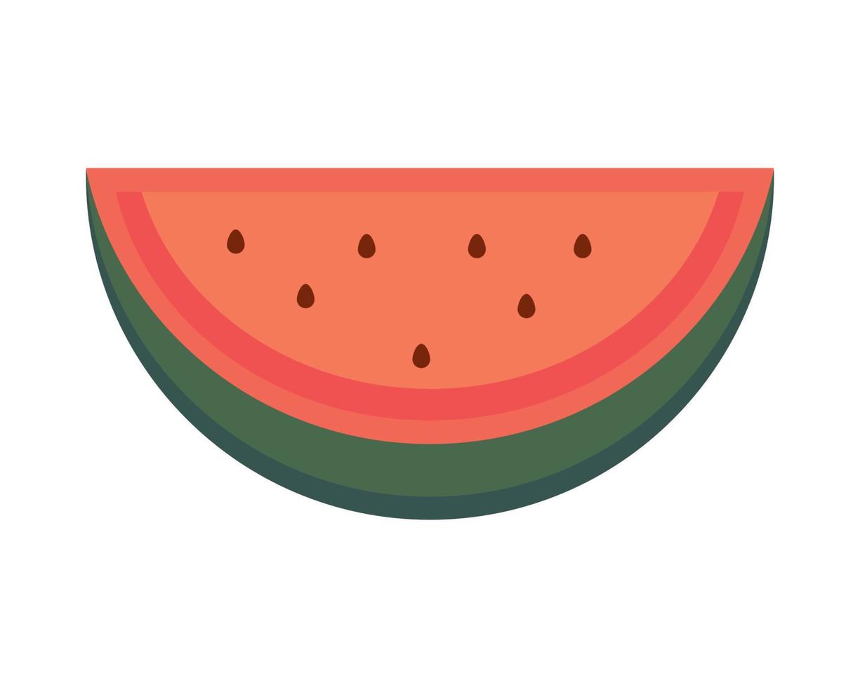 slice watermelon fruit vector