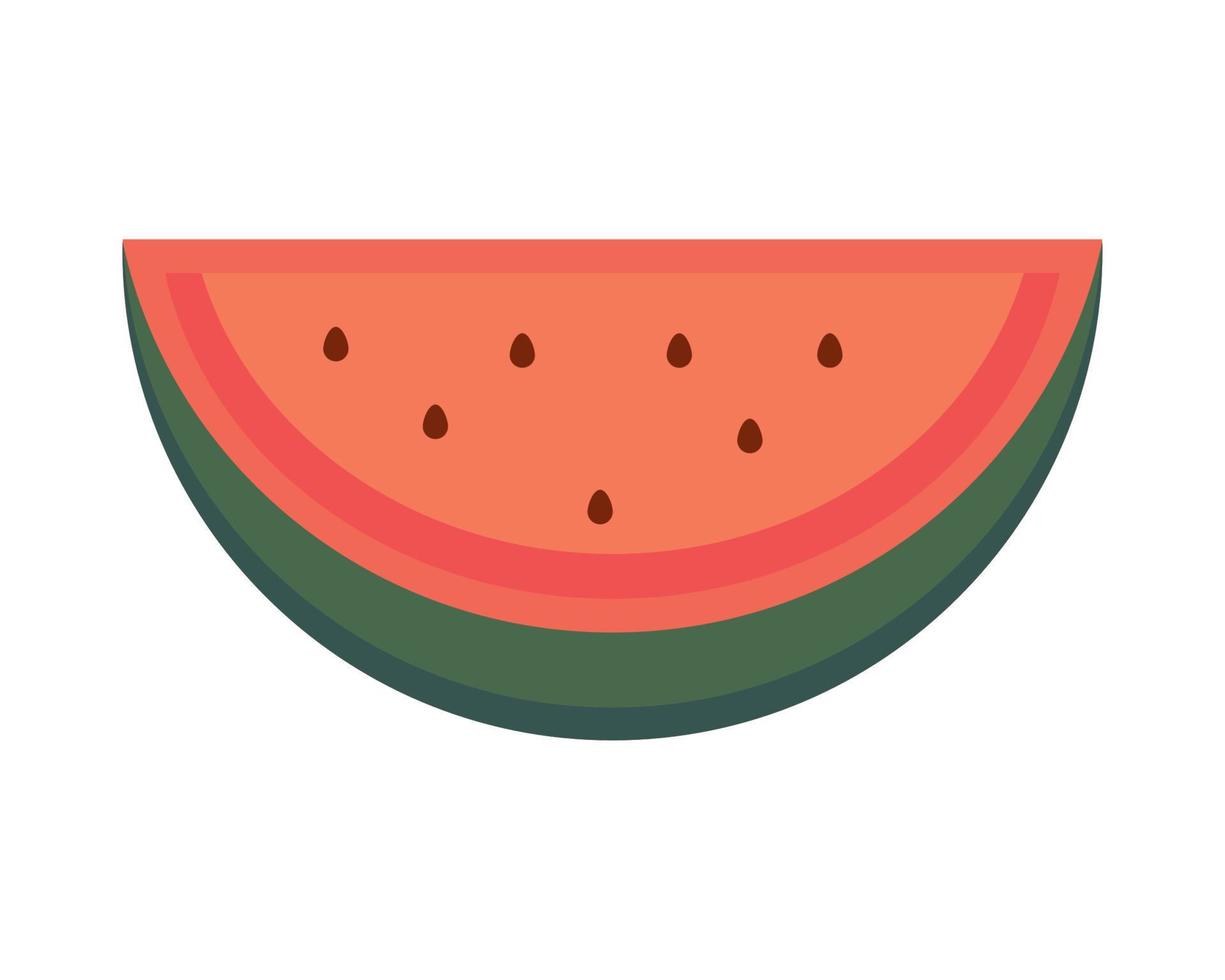 slice watermelon fruit vector