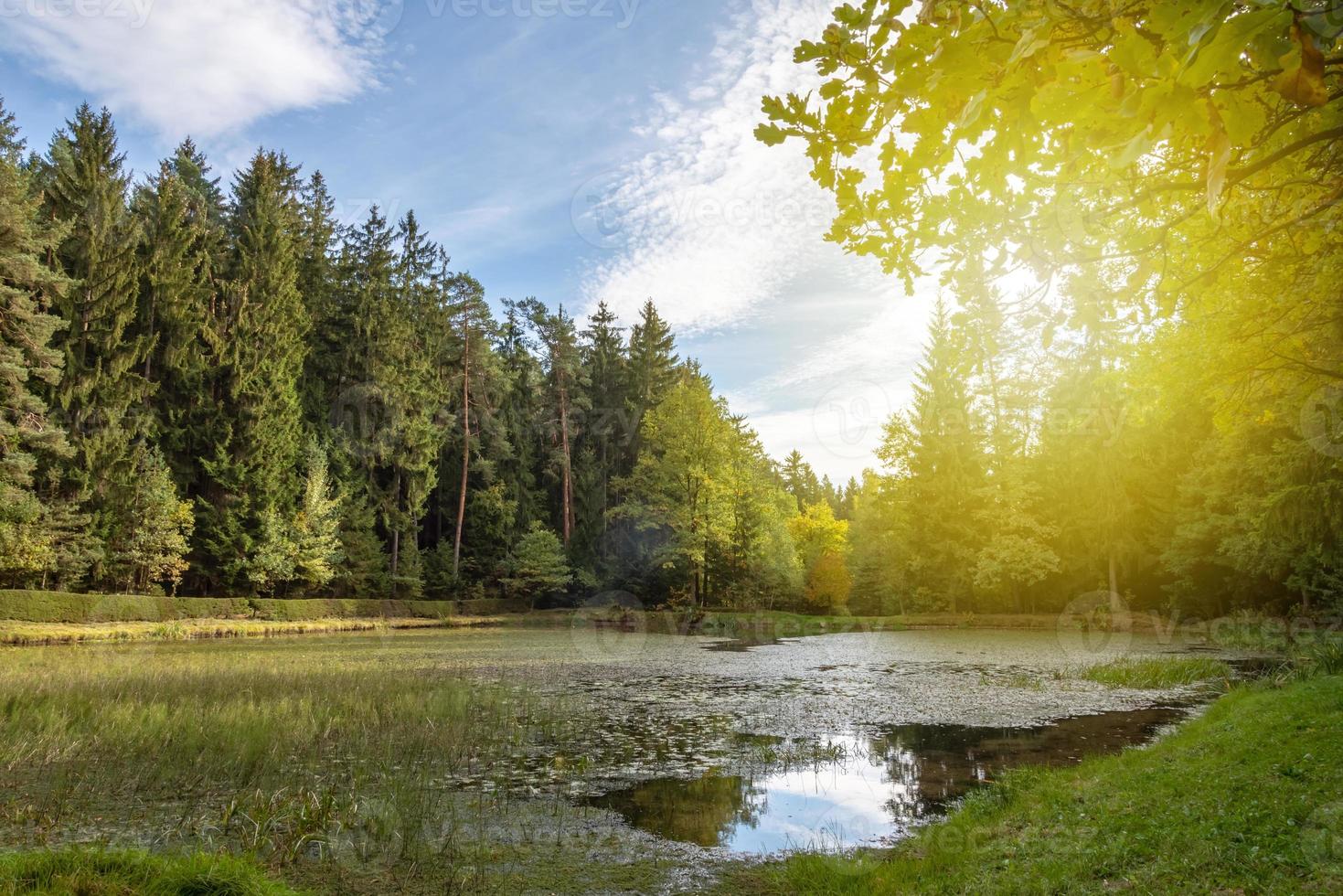 forest lake in autumn photo