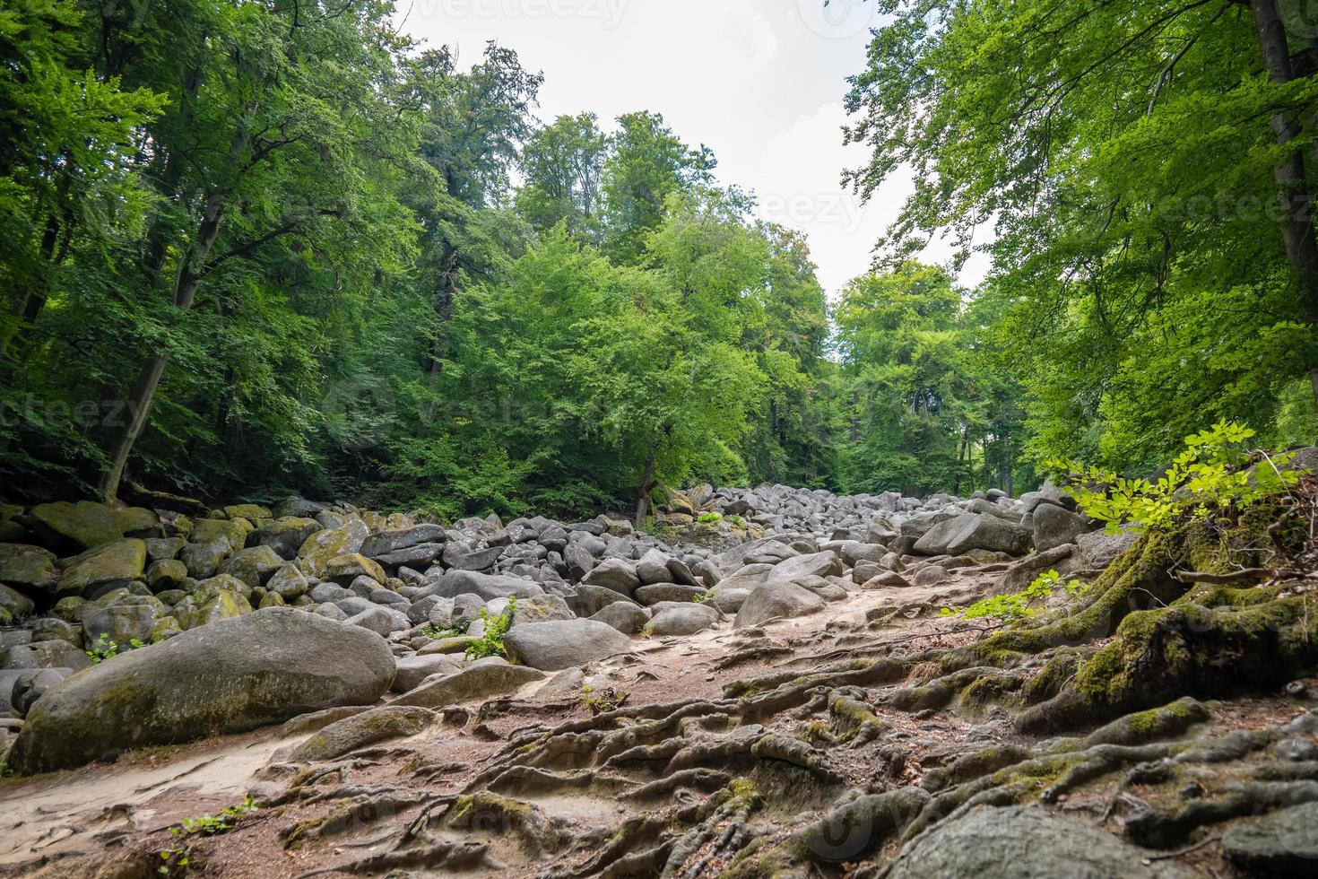rocas en un bosque en alemania foto