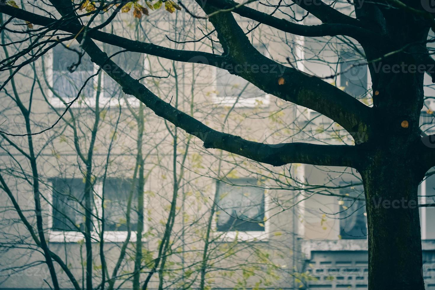 Front facade of an apartment block or flats photo